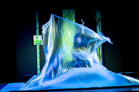 LE AVVENTURE DEL SIGNOR BASTONCINO