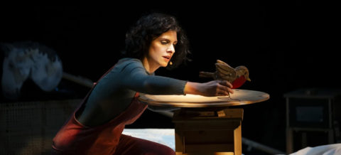 IL BOSCO DELLE STORIE DI NATALE